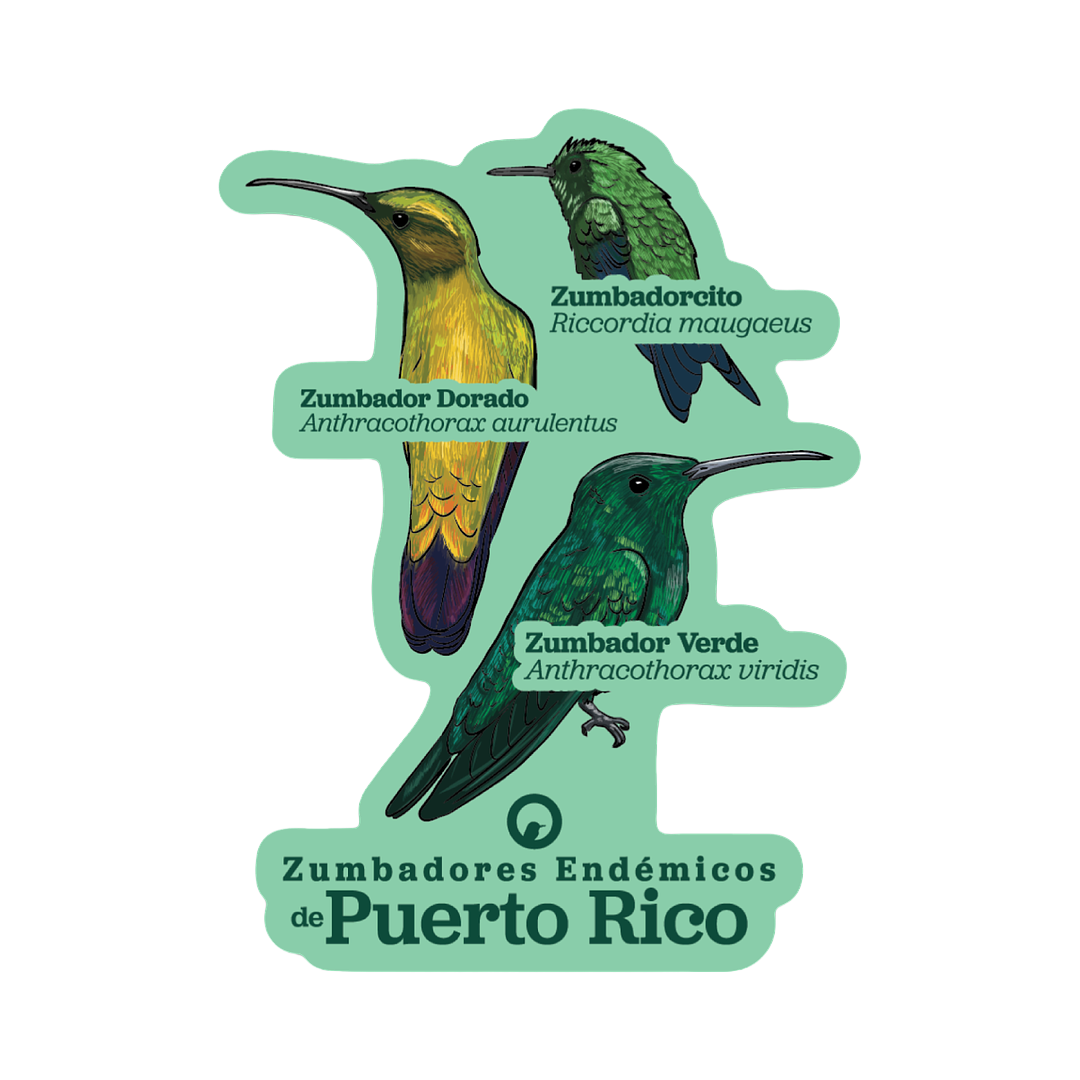 Zumbadores Endémicos Sticker