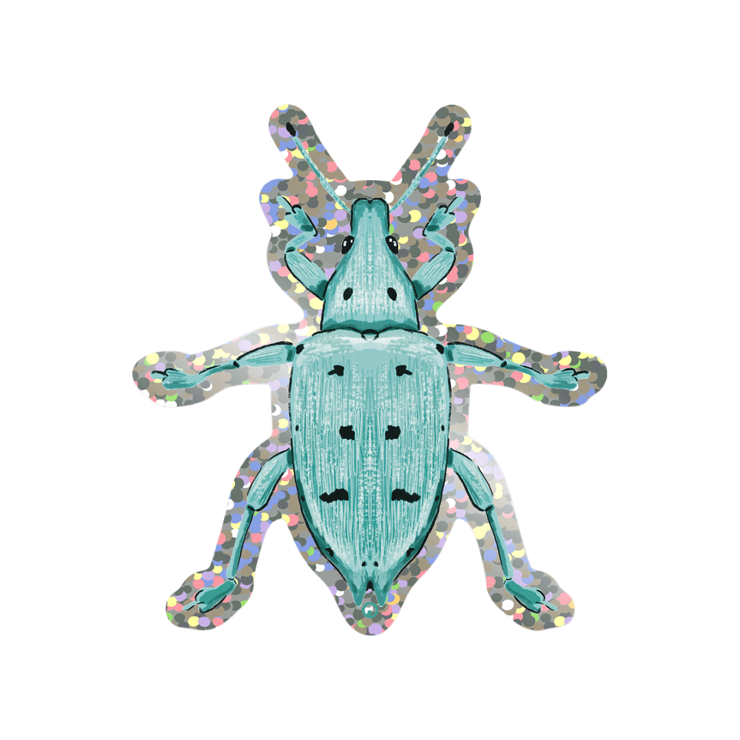 Gorgojo Turquesa sticker