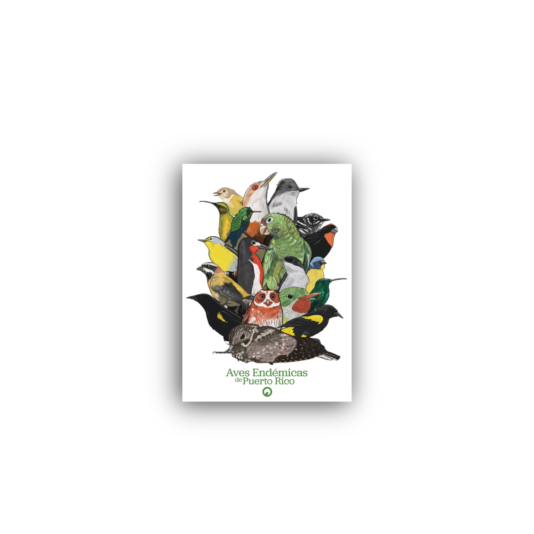 19 Aves Endémicas print  3”w x 5”h