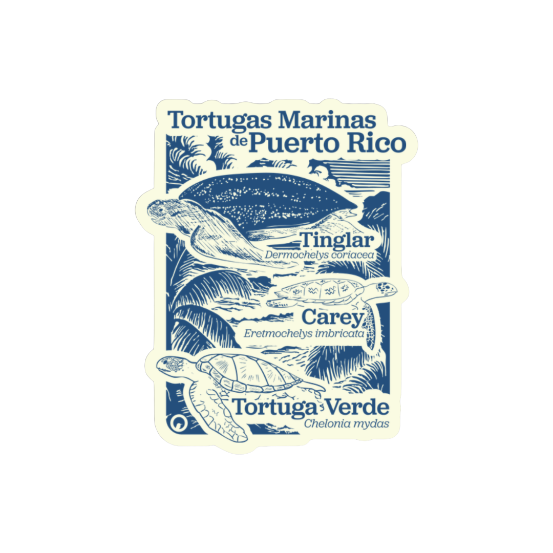 Tortugas Marinas de PR Sticker