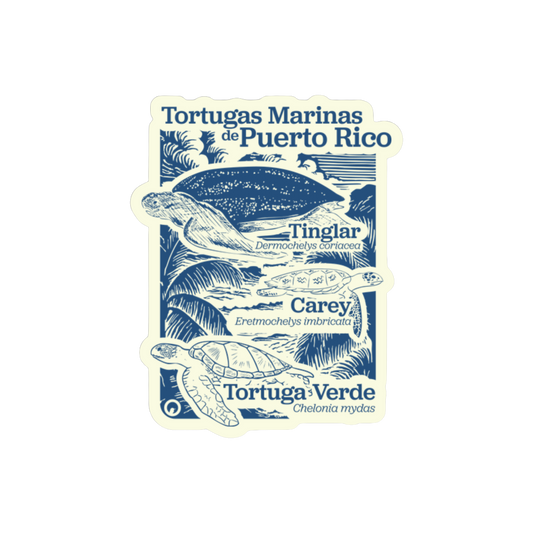 Tortugas Marinas de PR Sticker