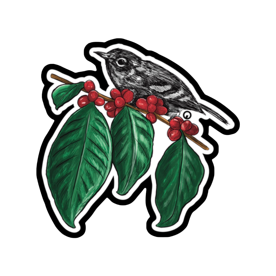 Reinita de Bosque Enano Sticker