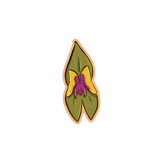 woodburyana mini Sticker