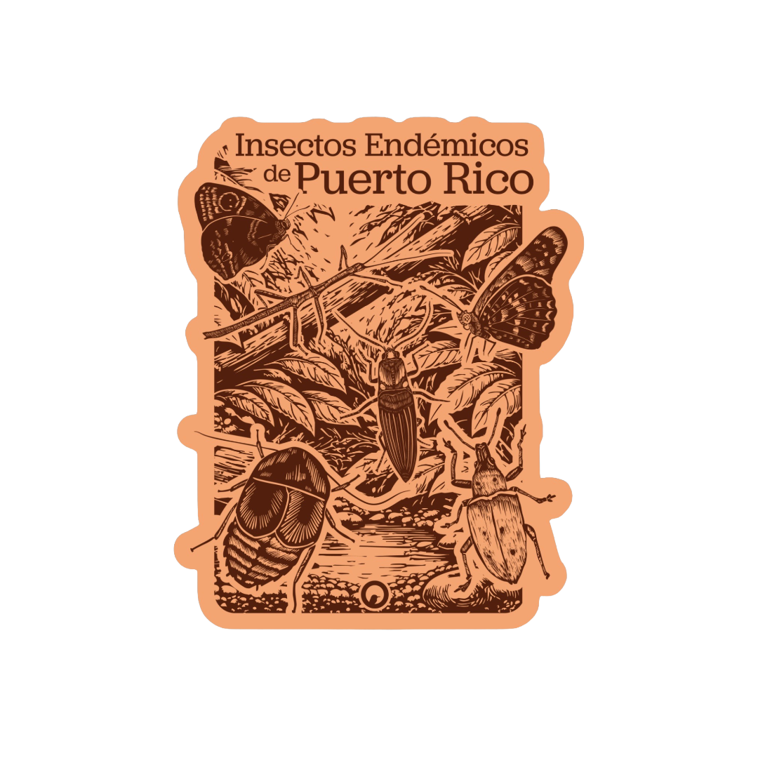 Insectos Endémicos de PR  sticker