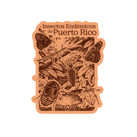 Insectos Endémicos de PR  sticker