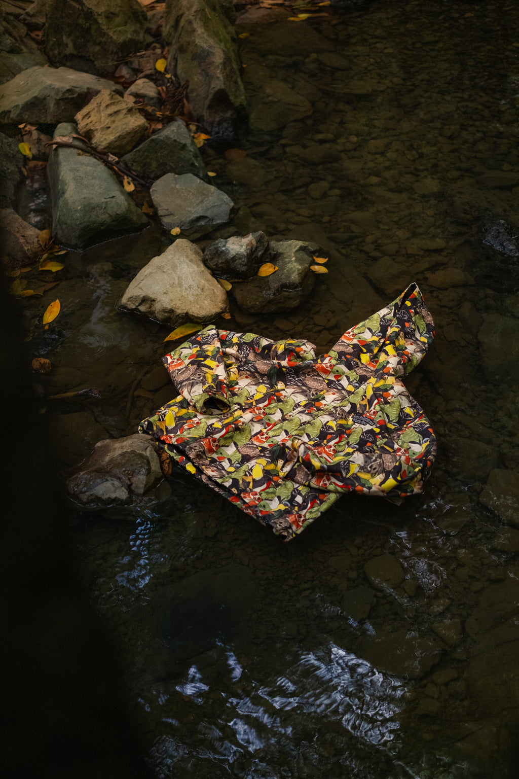 Aves Endémicas Raincoat