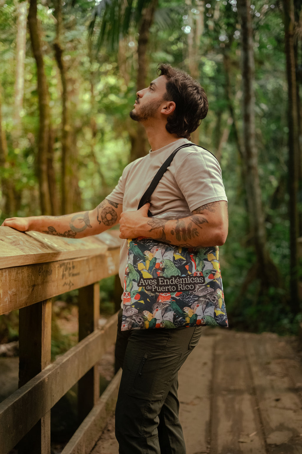 Totebag Aves Endémicas
