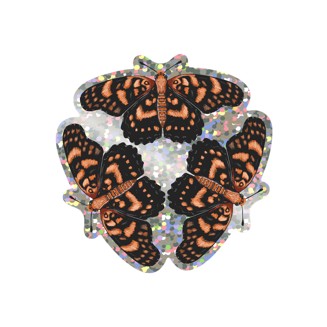 Mariposa Arlequín Sticker