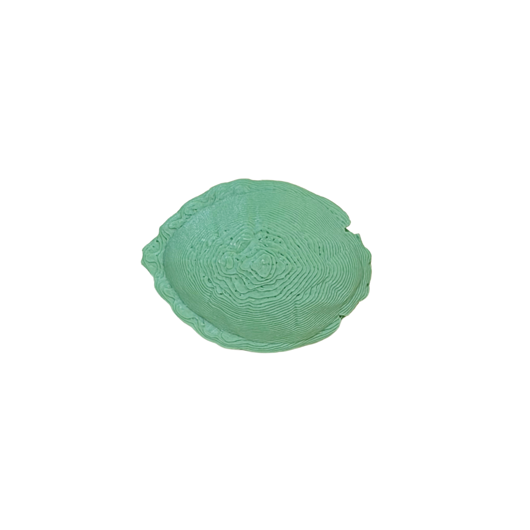 Chelonia mydas pin 3D