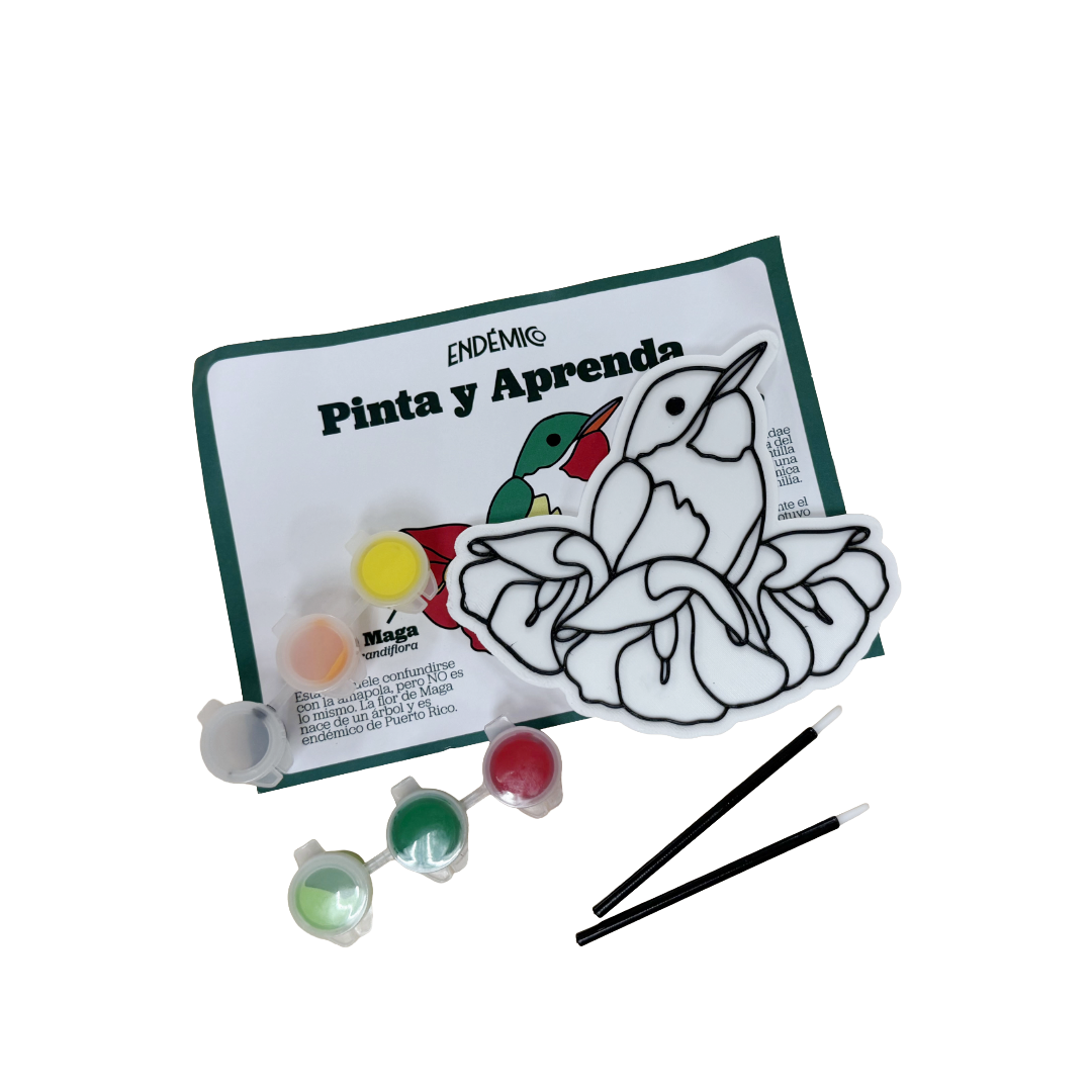 Pinta y Aprende
