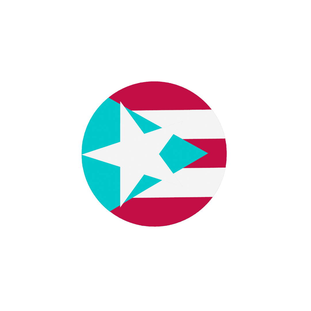 Bandera pin 3D