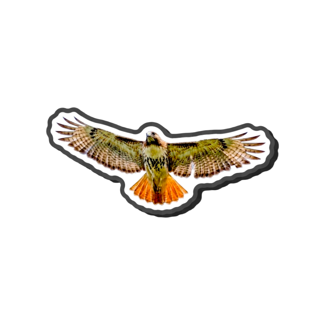 Guaraguao pin