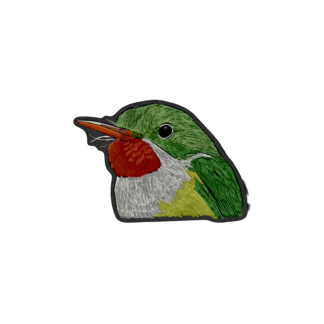 San Pedrito pin
