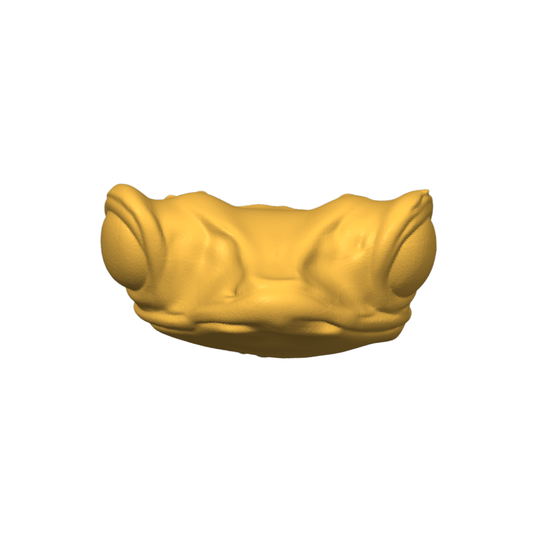 Sapo Concho  magneto 3D