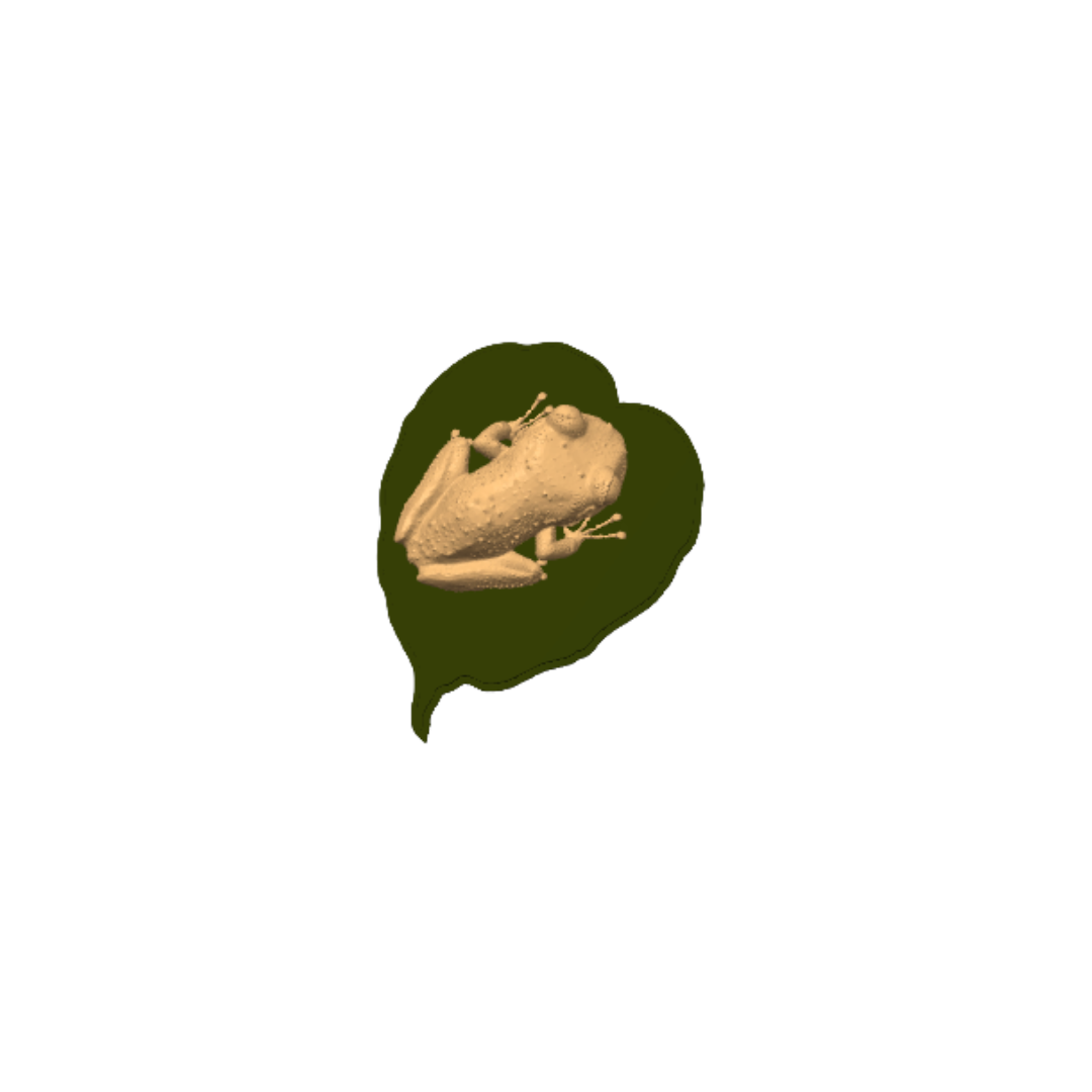 Coquí pin 3D