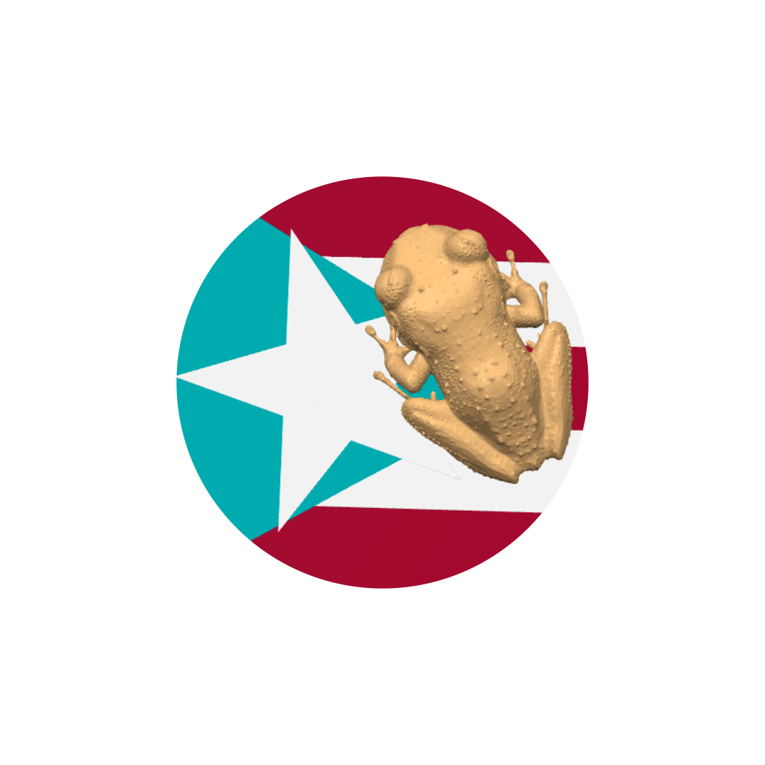 Coquí Bandera magneto 3D