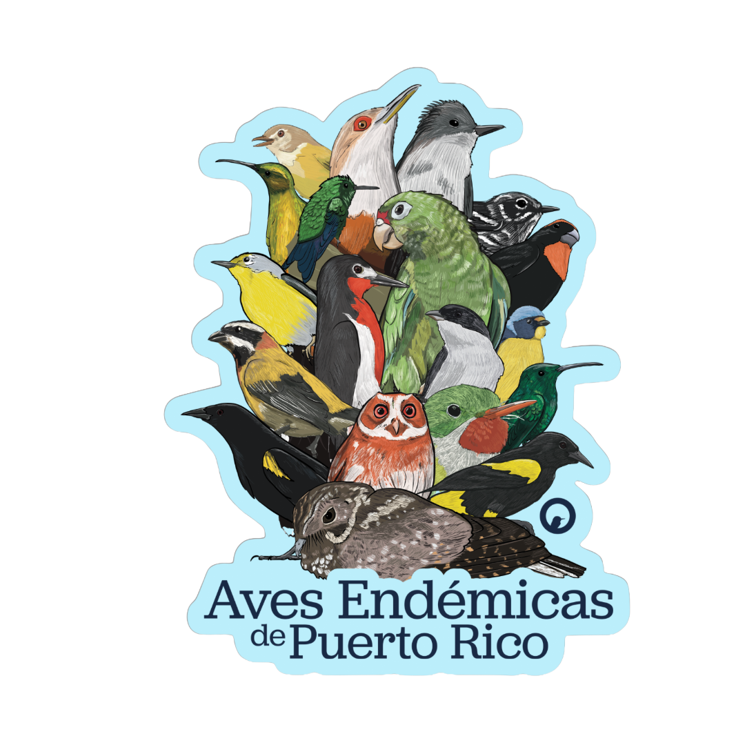 19 Aves Endémicas Sticker