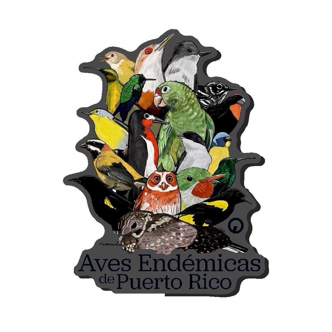 Aves Endémicas magneto